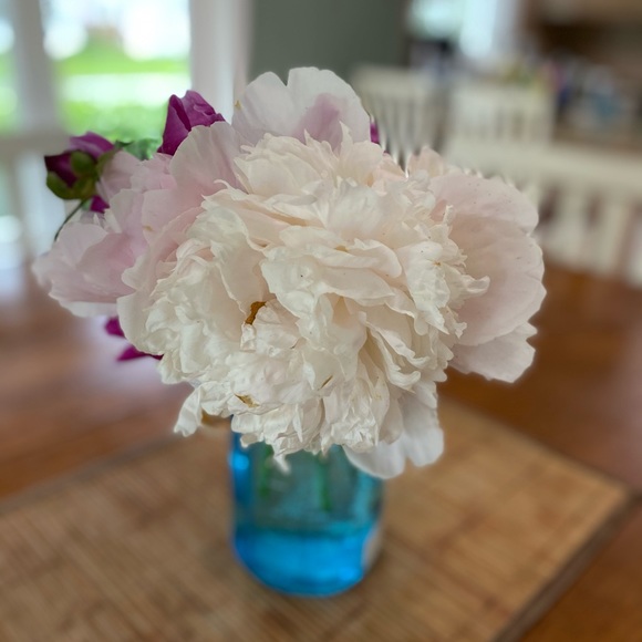 Meet your Posher, Rha - Picture 4 of 7